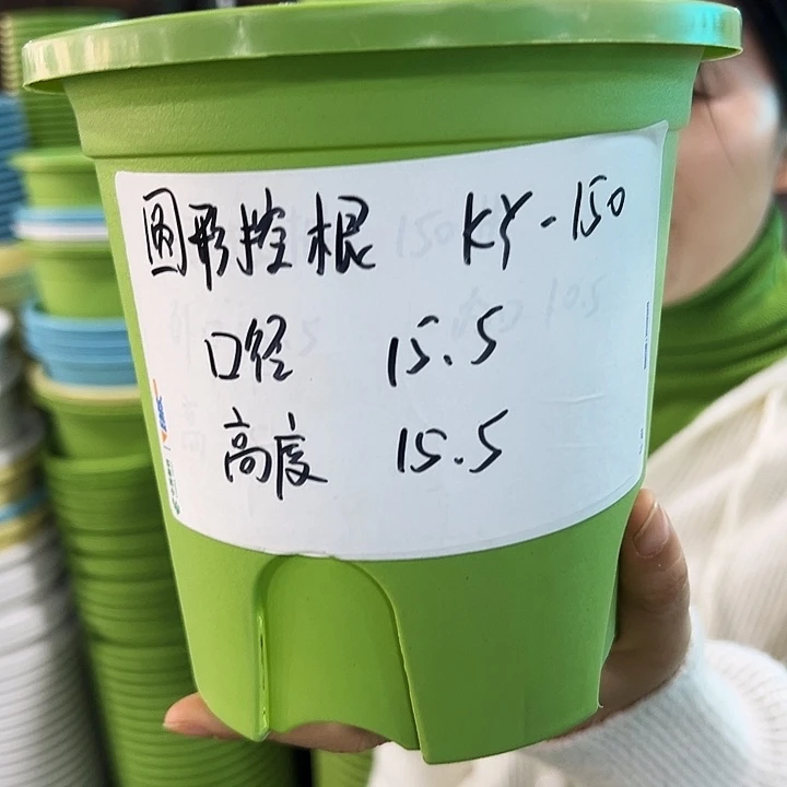 正品圆形控根口15高15果绿色10个无托