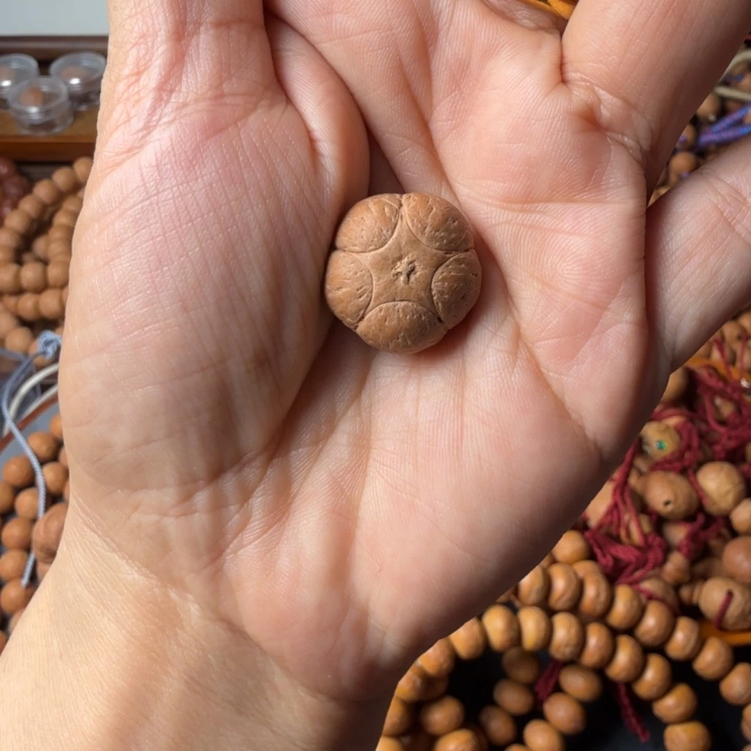 摩***生凤眼菩提把件五星三通