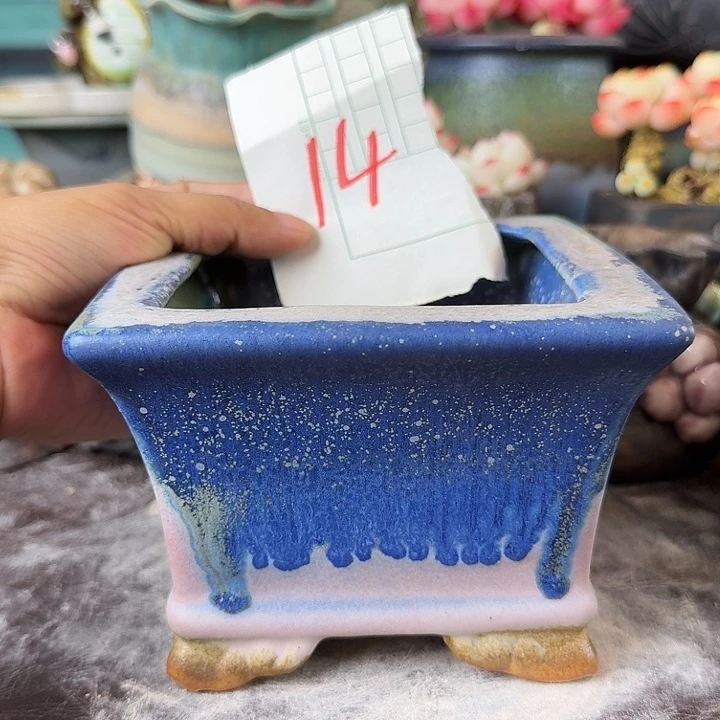 重庆小燕子欢迎大家14