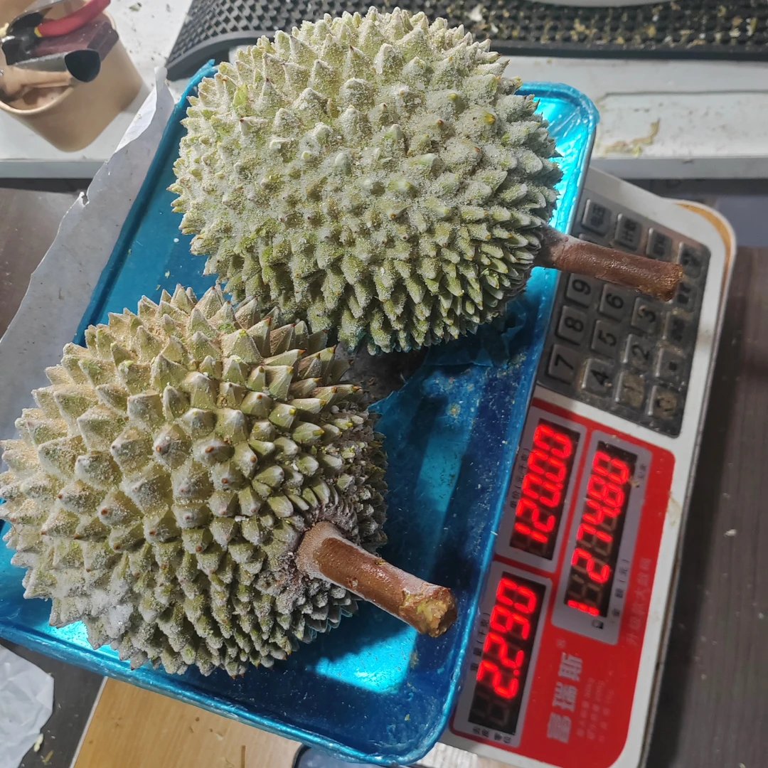 【福利果】当季新鲜液氮猫山王整果现开包250克纯肉核小猫山王马来西亚苏丹王苏丹