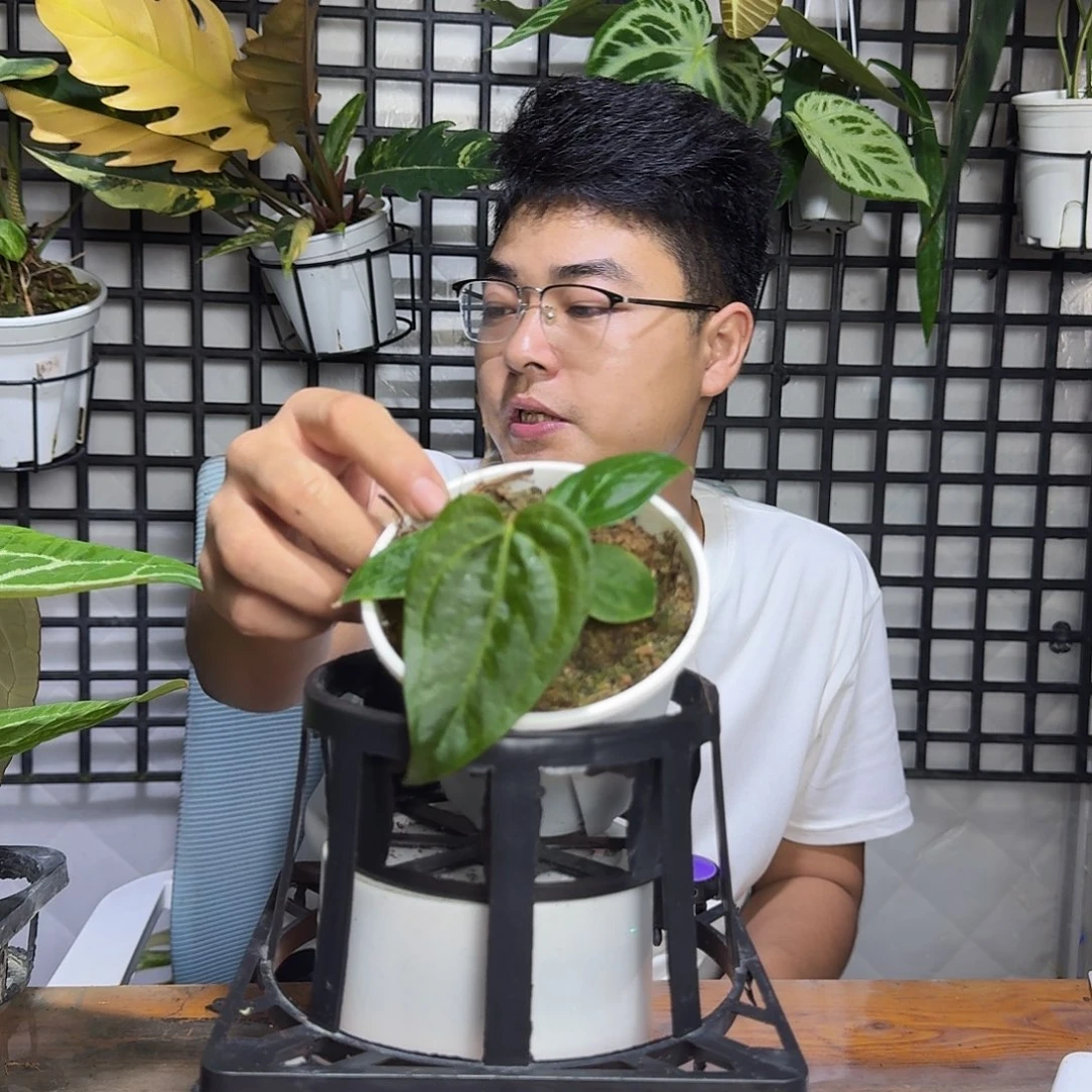 G***馆无花朵一物一拍G124