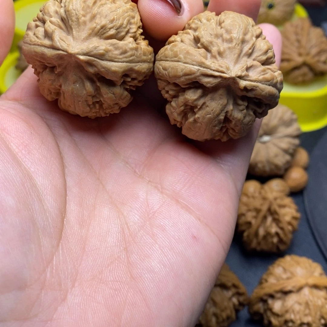 手串/手链核桃39尺霸王龙