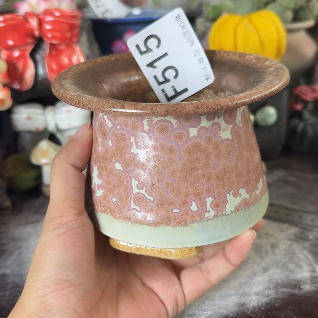 重庆小燕子欢迎大家515