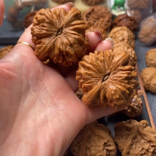 文玩核桃吊坠50龙鼎