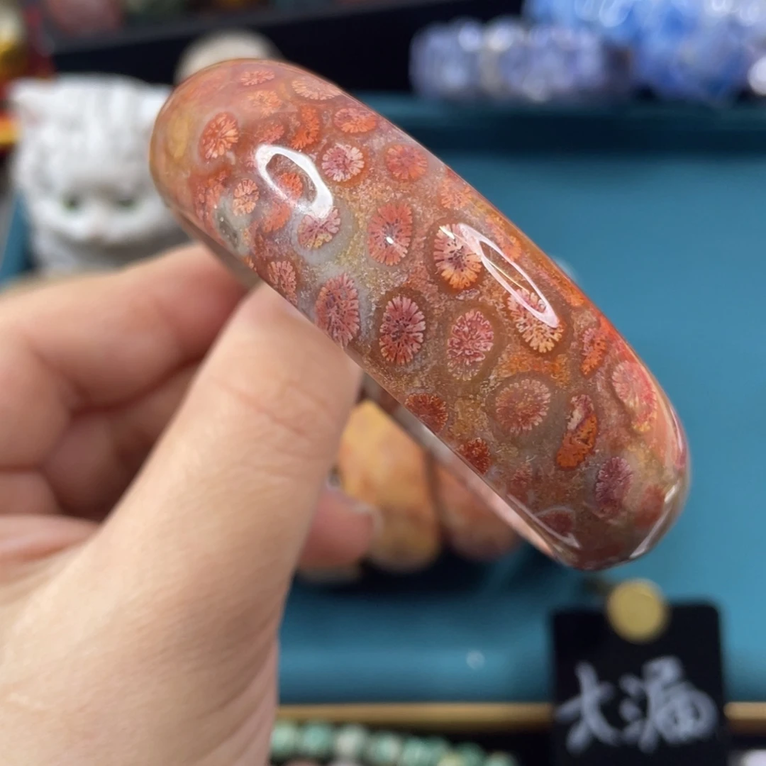 未镶嵌手镯硅化玉