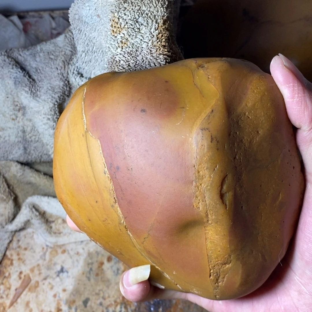 石英质玉未镶嵌颈饰黄****）