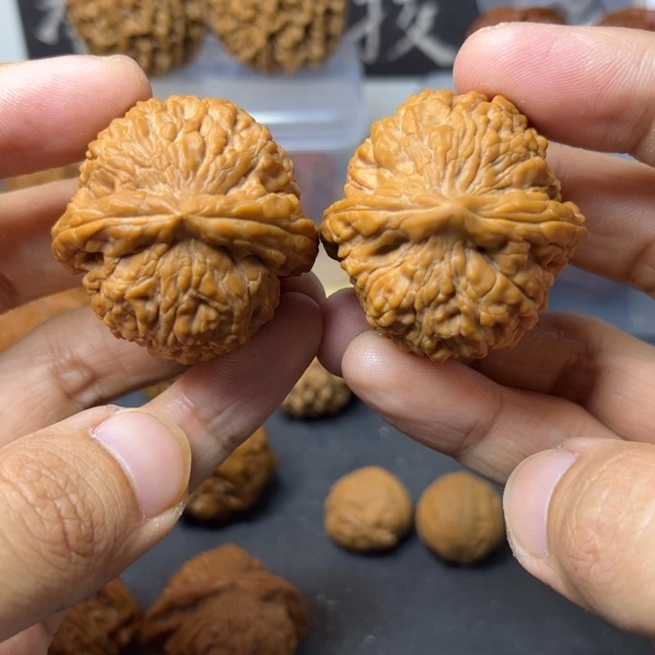 守正核堂，39粗筋蚂蚁王