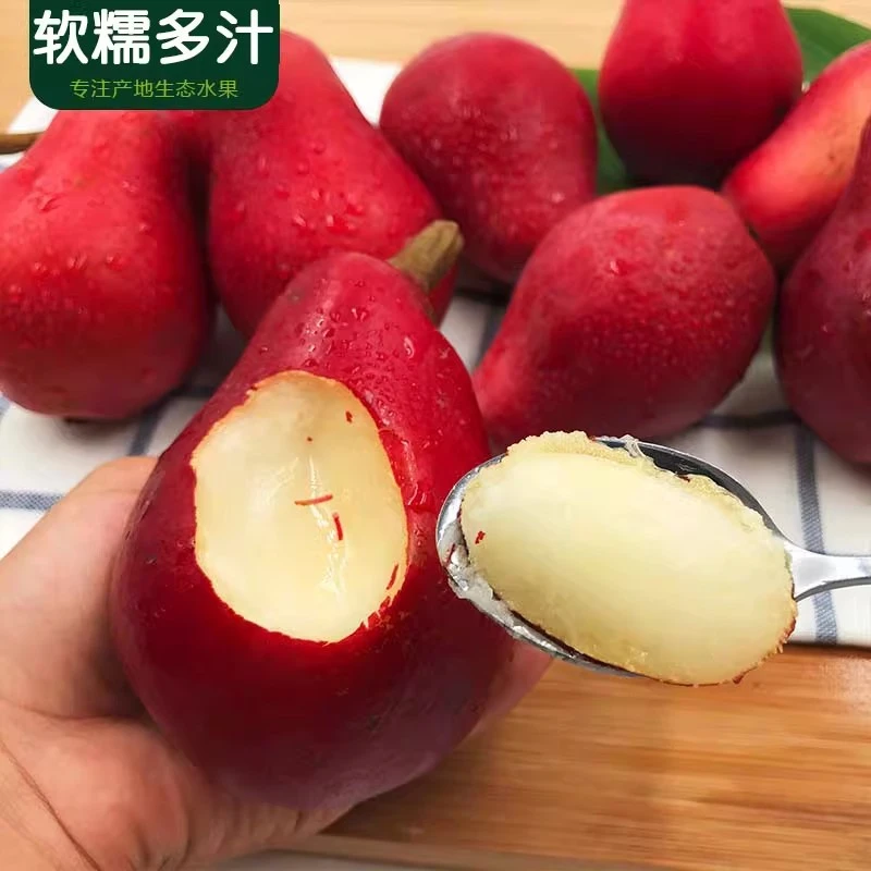 红啤梨新鲜水果软梨红皮梨红脾梨时令新鲜梨子当季整箱果香浓郁新