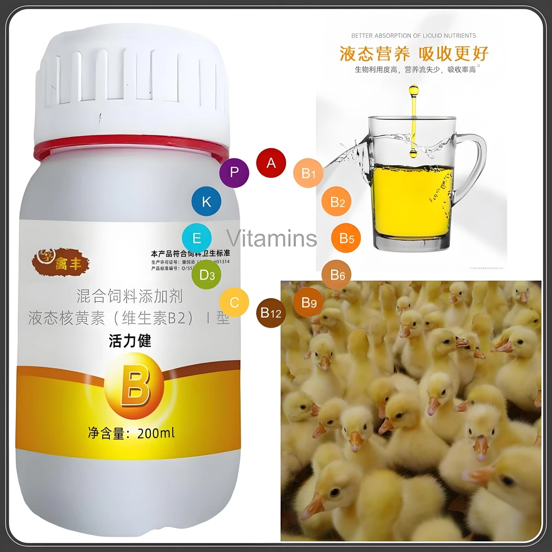 混合饲料添加剂核黄素鸡鸭鹅养殖常备液体维生素活力健