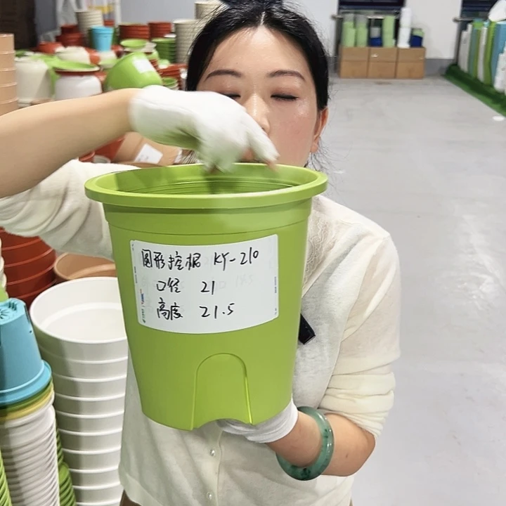 正品圆控口21高21果绿8只无托