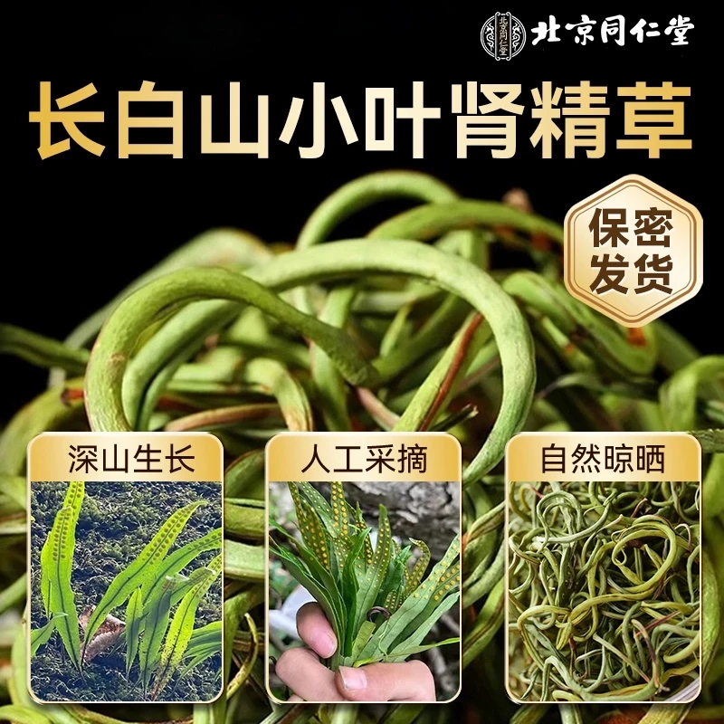 同仁堂正品野生长白山特级黄金草嗷嗷叫草肾精草肾精茶搭枸杞泡水