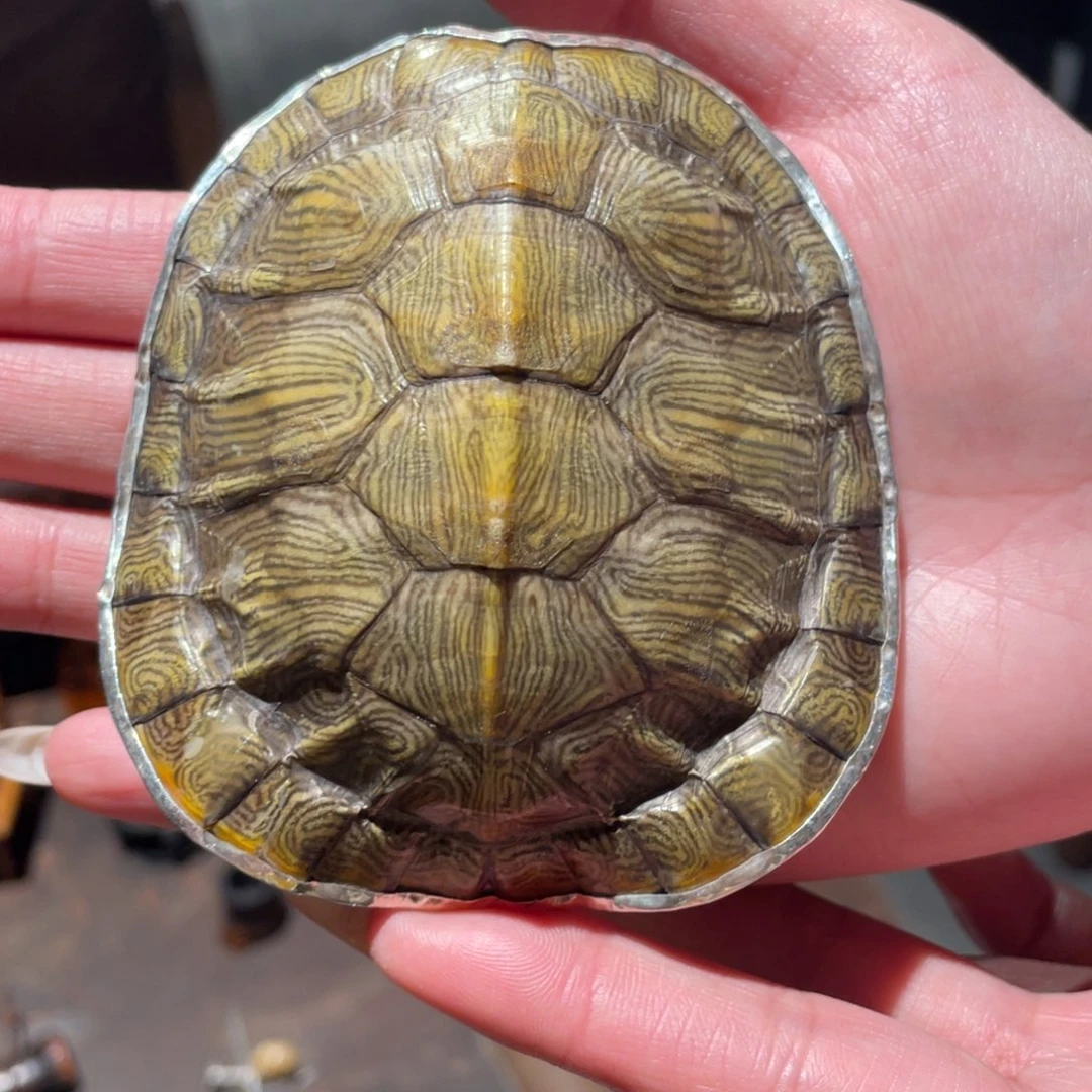 紫砂茶道纯手工制作