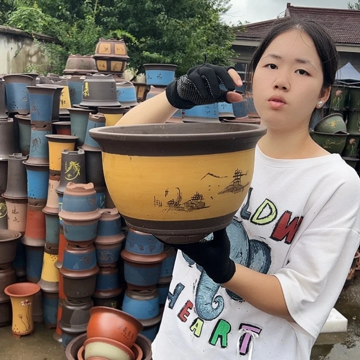 003花盆花盆花盆花盆花盆花盆