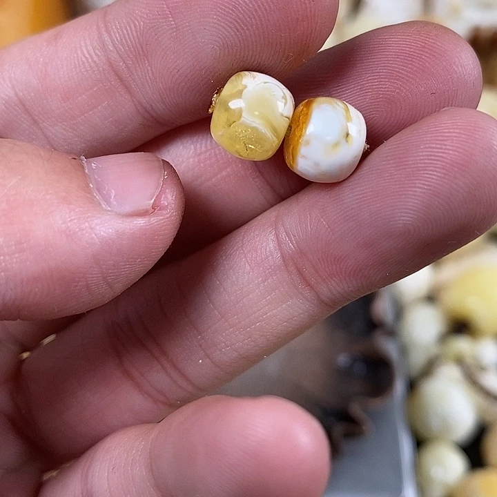 琥珀裸石未镶嵌我