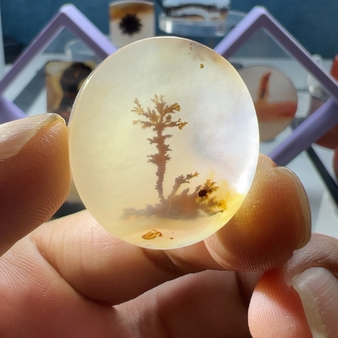 未镶嵌玛瑙/玉髓珠宝奇石