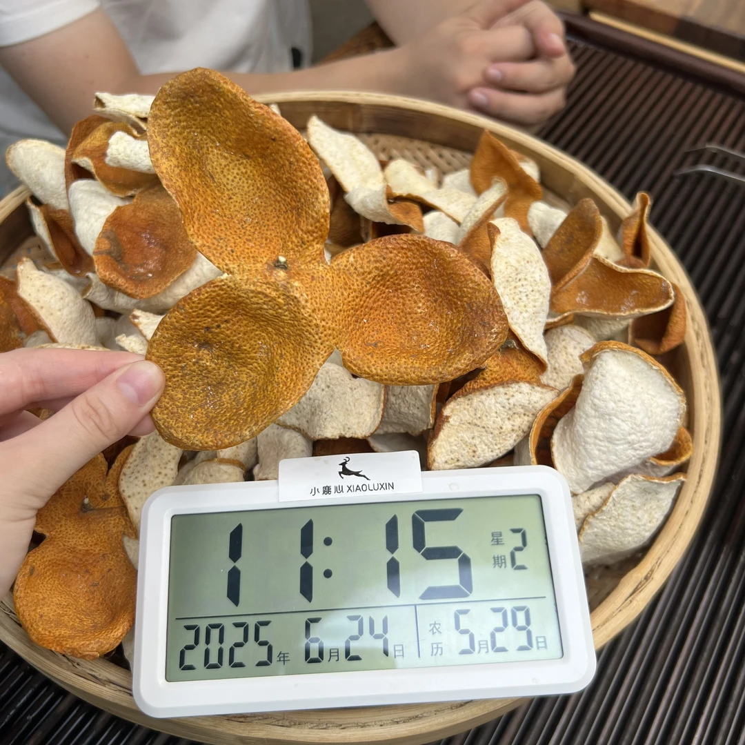 2024新会梅江圈枝大红新皮 ③ 小鹿收茶  新会新皮 6月24