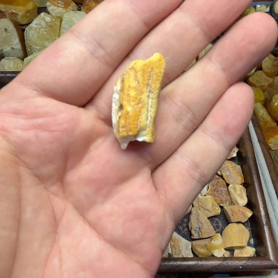 卡***界定制琥珀未镶嵌骨头