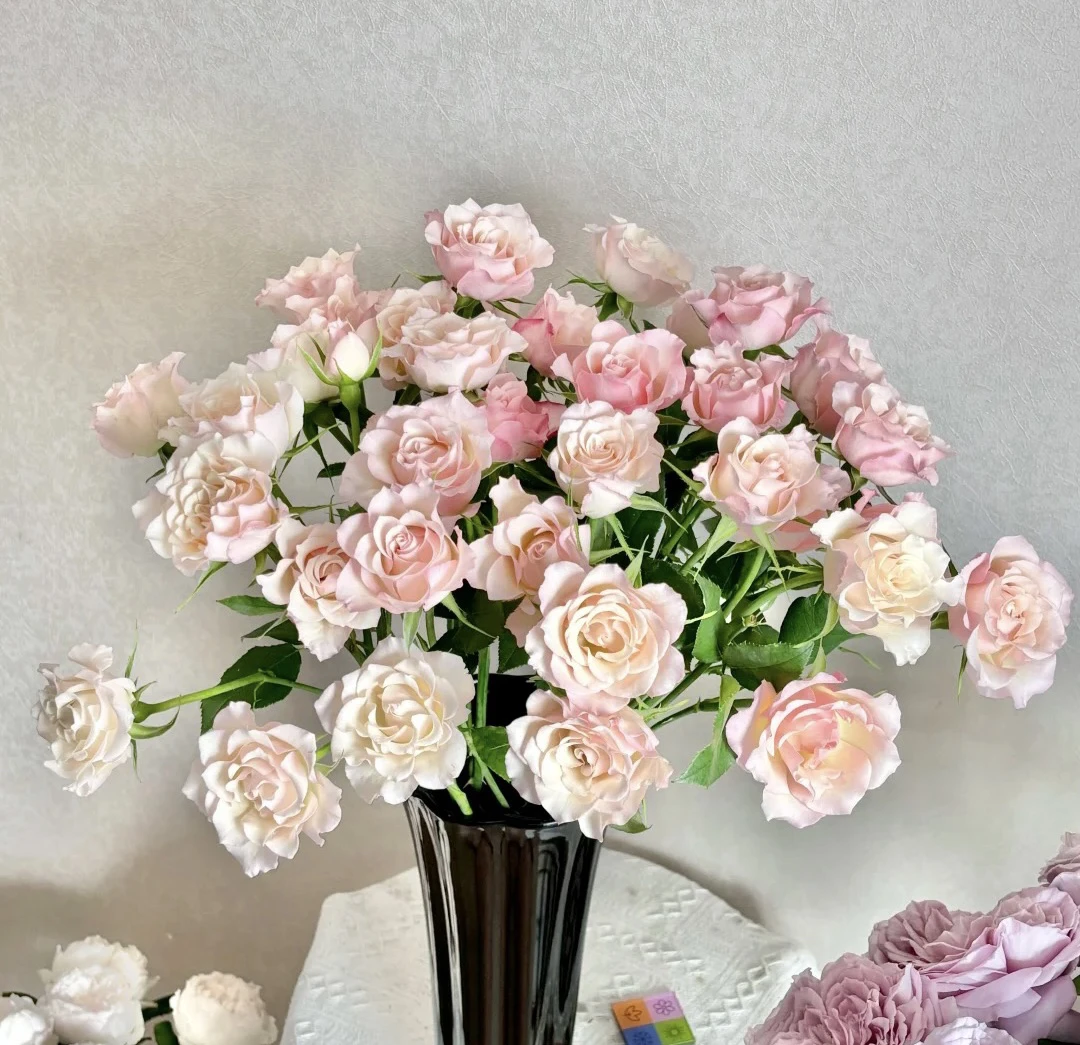 【10枝多头卓芙特】全场任意两单顺丰包邮，0度以下必拍保温棉！