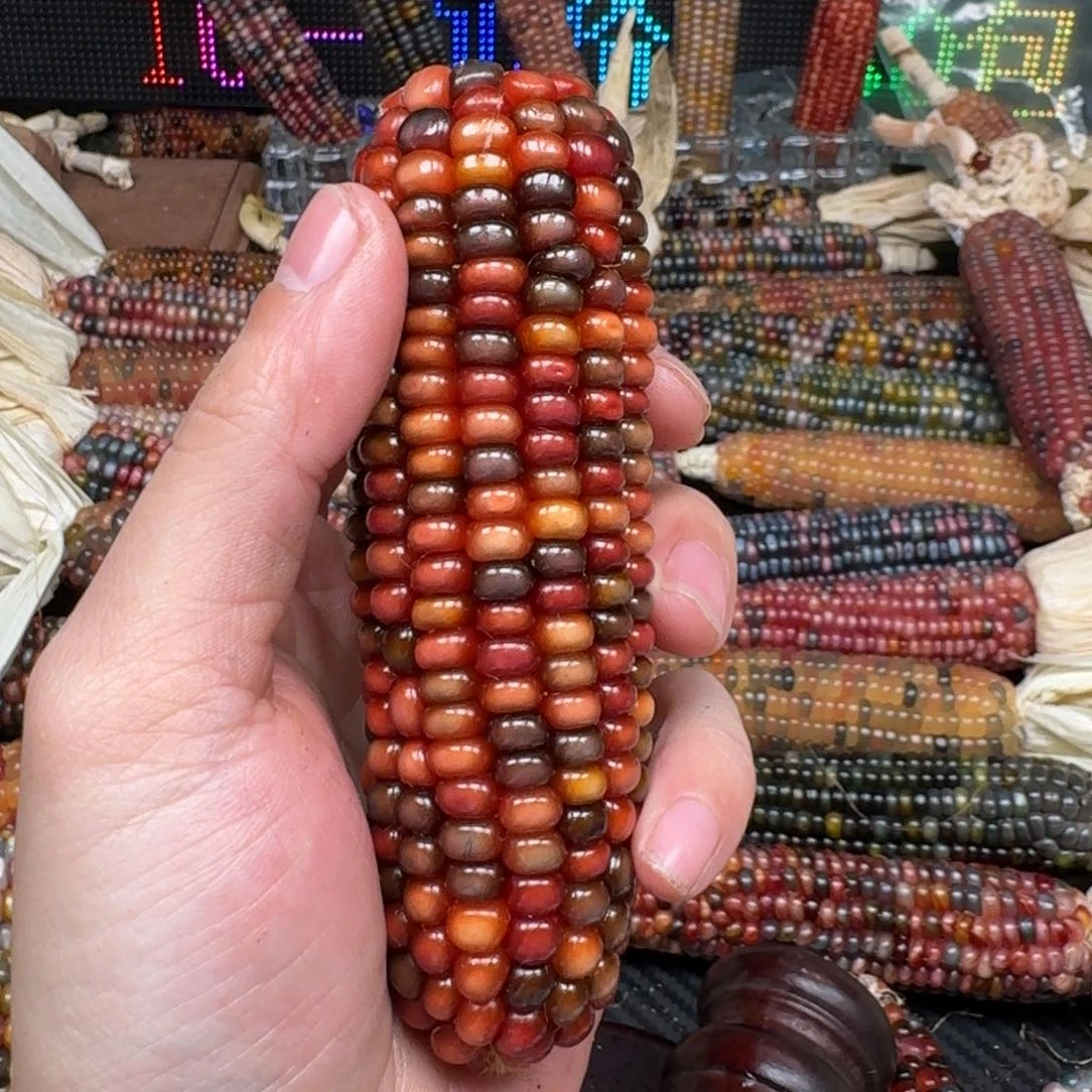 柏香籽/百香籽吊坠姗*