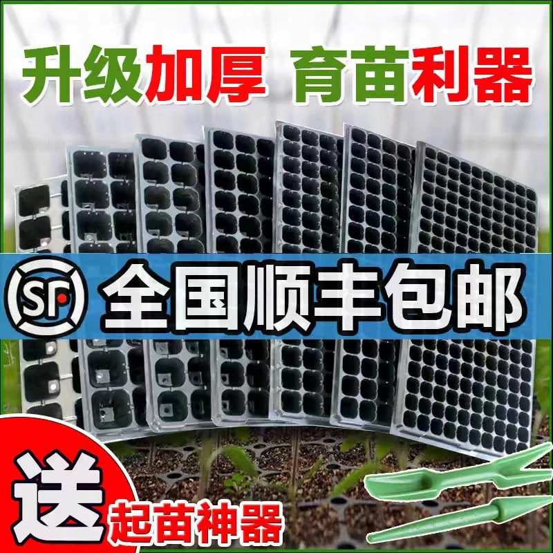 种植盘育苗超厚玉米高粱加厚育苗盘育苗盘穴盘育苗盆育秧盘辣椒