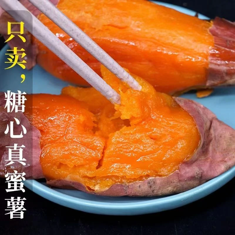 （新专属）山东正宗烟薯25号新鲜糖心番薯产地直发超甜中果3-8两