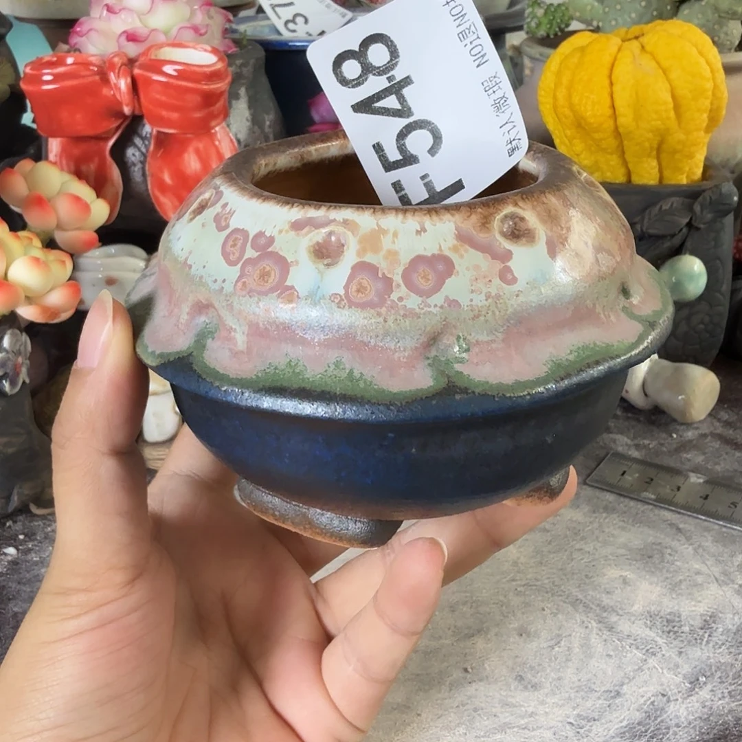 重庆小燕子欢迎大家548