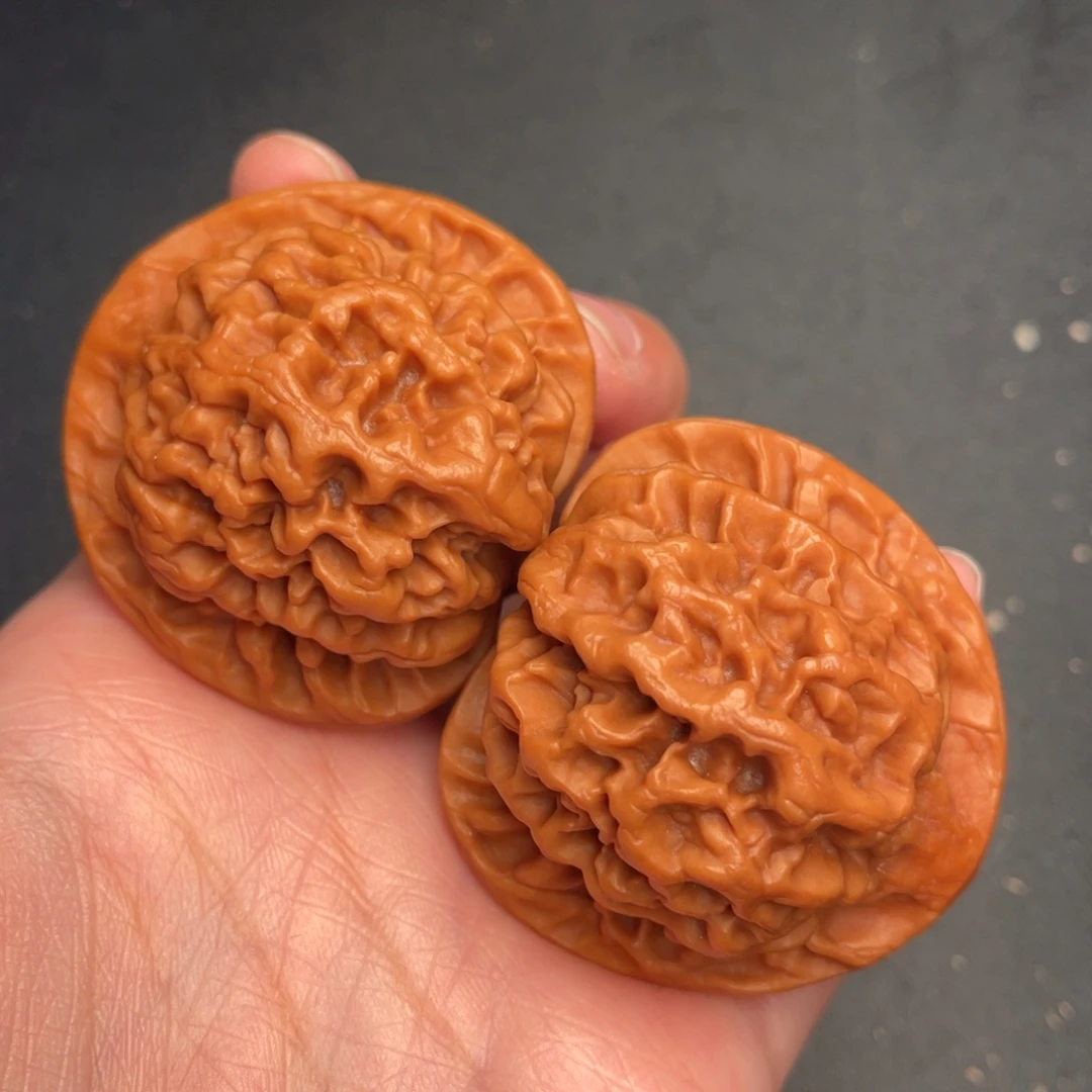 秦岭野生文玩核桃