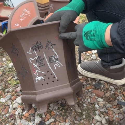 紫砂花盆紫砂花盆盆景盆栽