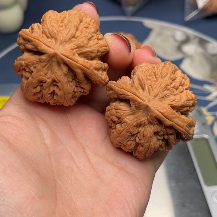 文玩核桃把件粗筋44