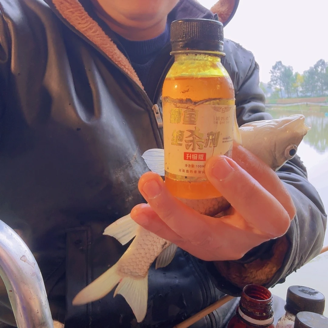 鲫鱼绝杀剂专攻鲫鱼