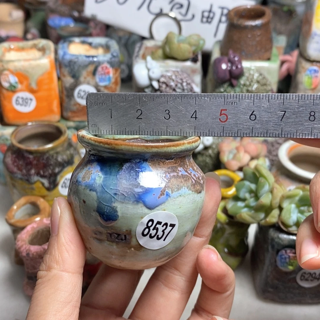 拍5送一个小礼物