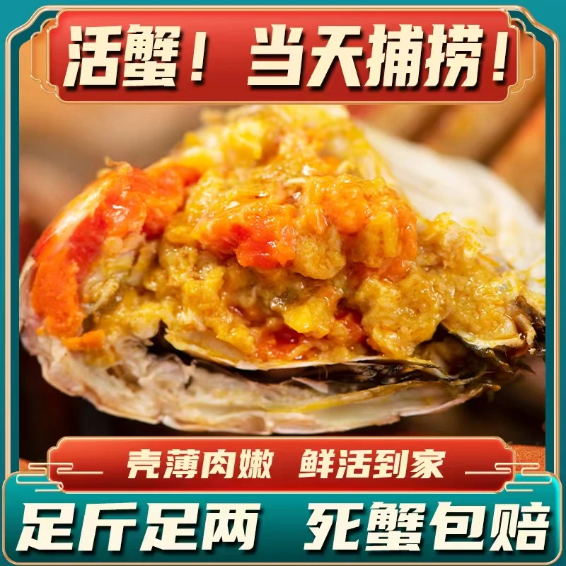 【活蟹】江苏大闸蟹全母5.0-4.7两 礼盒装活蟹现发 顺丰/京东发货 买6送2共8只ZZZ
