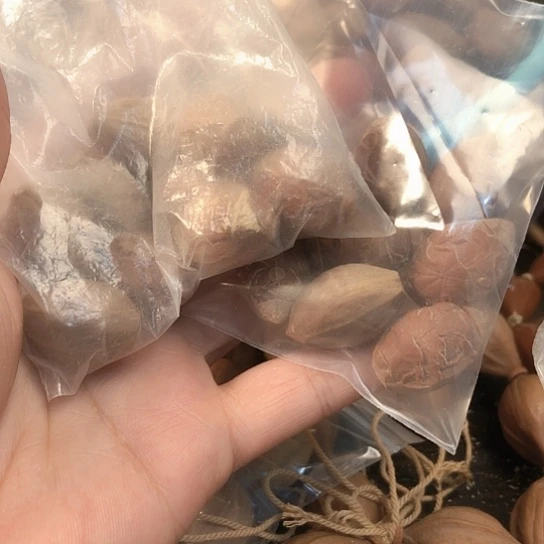 寻***山宝宝宝宝宝宝