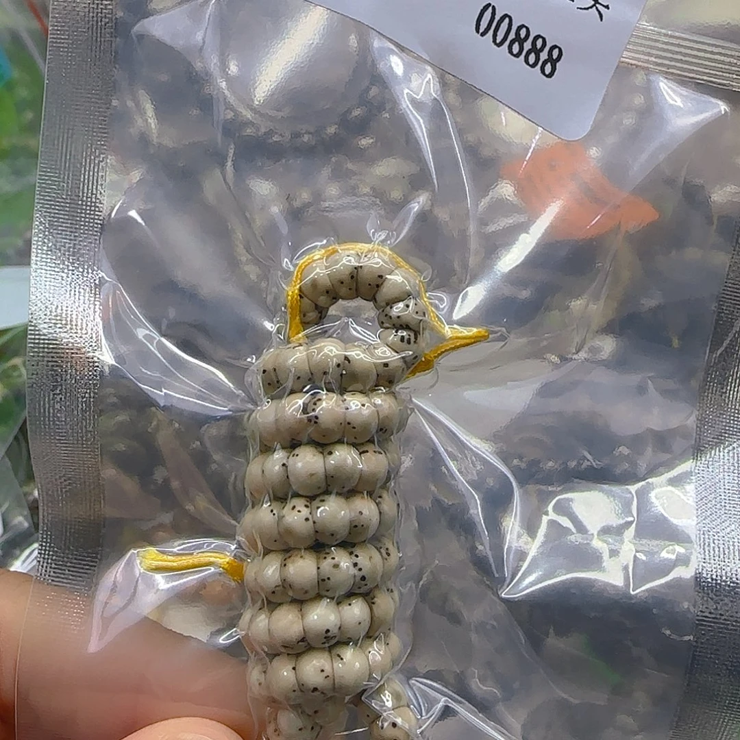 星月菩提手串152哈哈星月菩提桶6-108