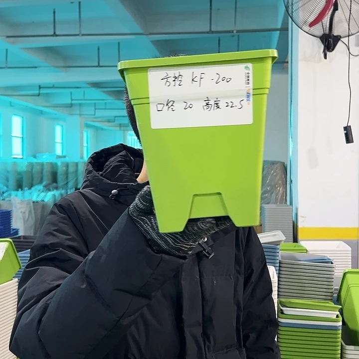 正品方盆口20高22果绿无托6只