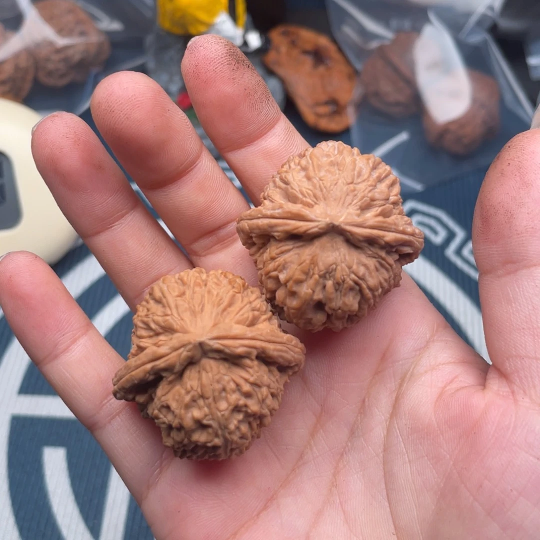 把件文玩核桃塞**许白狮子