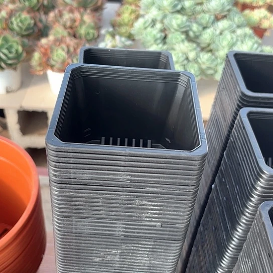 120黑方口11高8一组30个