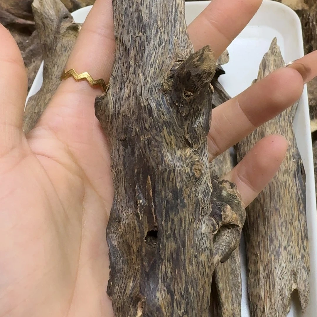 猪***戒沉香碎屑沉香奇楠母树金莎叶虫漏71克