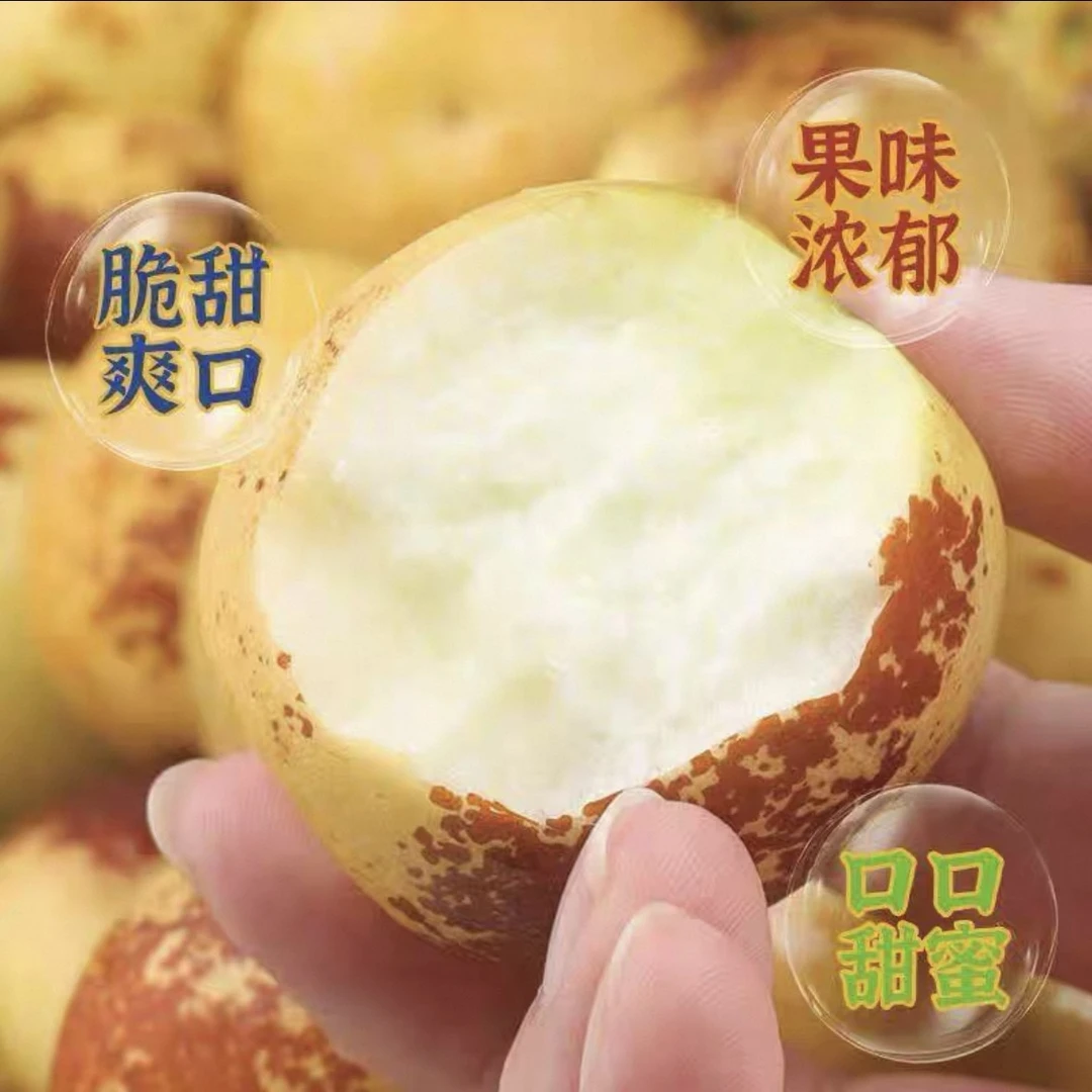 山东沾化冰糖冬枣现摘脆甜多汁当季新鲜水果