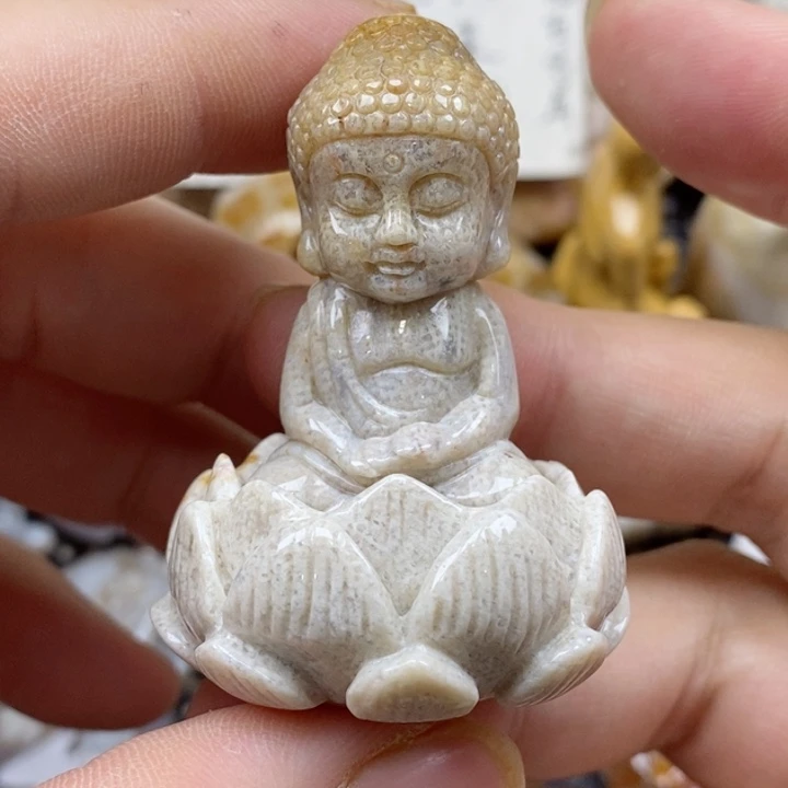 颈饰未镶嵌硅化珊瑚（珊瑚玉）