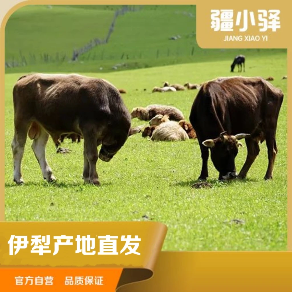 疆小驿【半牛/+3斤】伊犁本地牛+精分割部位切块+100%腿排