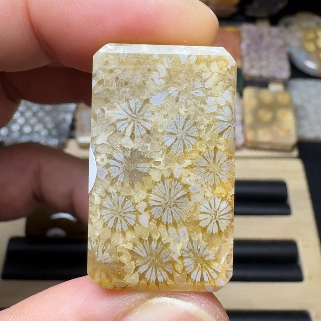 硅化玉未镶嵌纯天然色有机玉石保真色