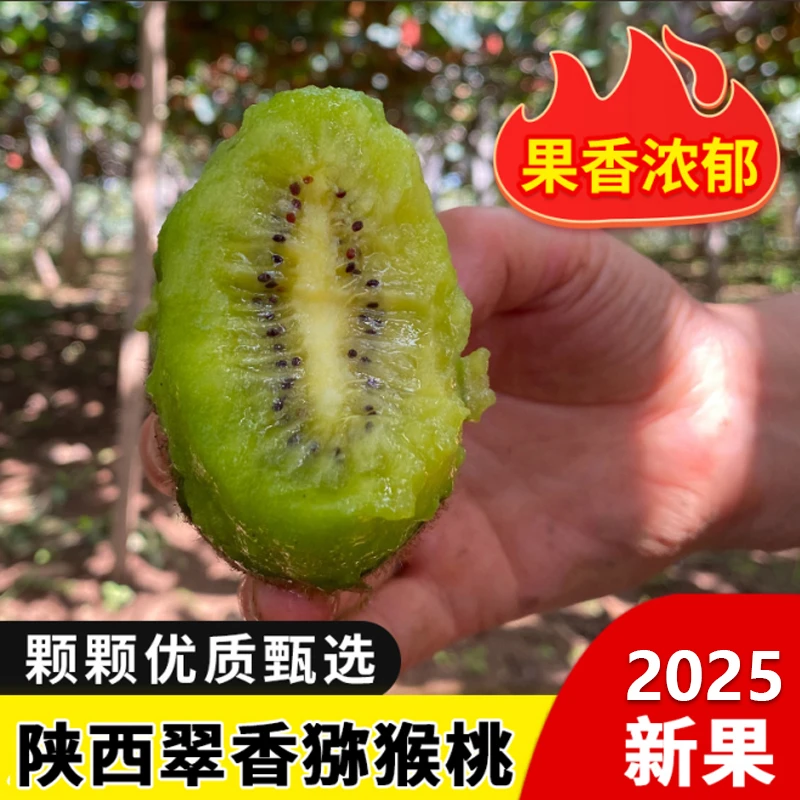陕西眉县翠香猕猴桃新鲜绿心新鲜奇异果水果产地直销当季