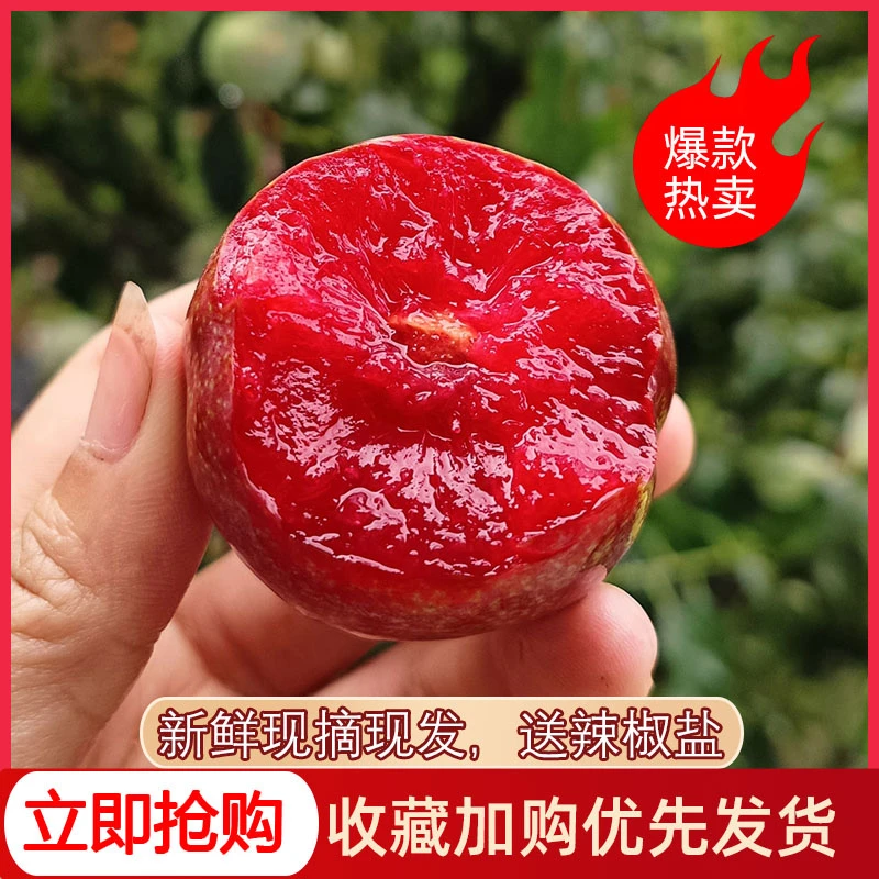 《顺丰到家》三华李红心李酸甜爽口孕妇适宜新鲜水果