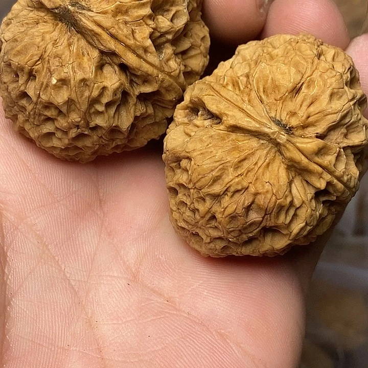 文玩核桃把件志成云铁文玩50