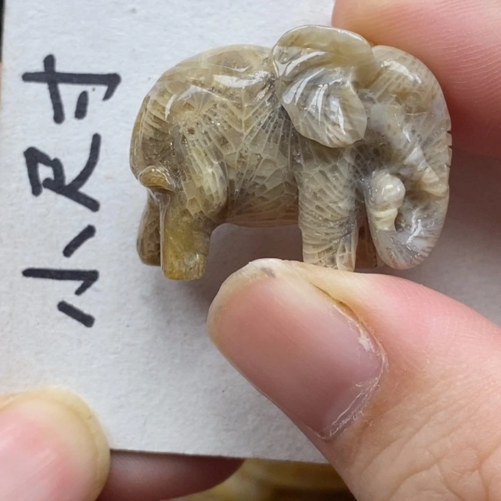 硅化珊瑚（珊瑚玉）未镶嵌颈饰