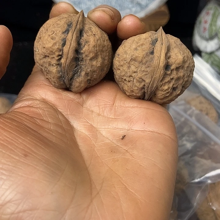 把件文玩核桃云南铁核桃基地38