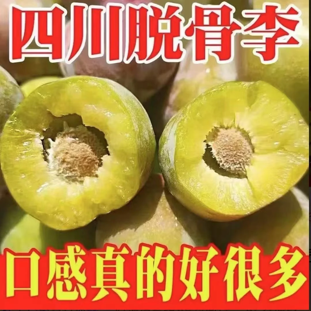 【产地现摘】四川茵红李青红脱骨李子当季水果半边红青脆李脆红李