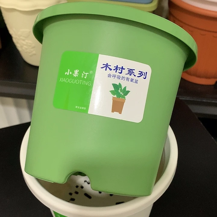 小果汀15口绿10个无托