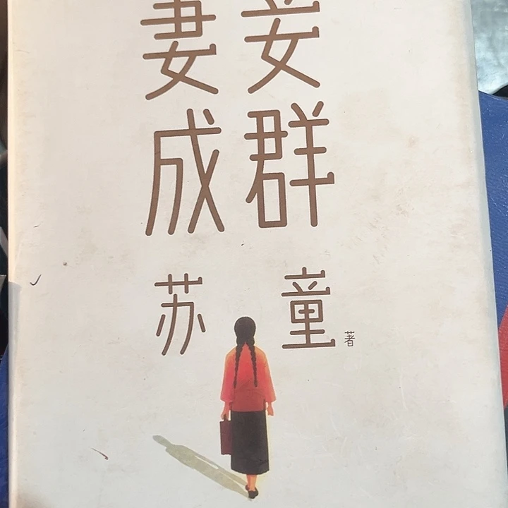 妻妾成群全新精装